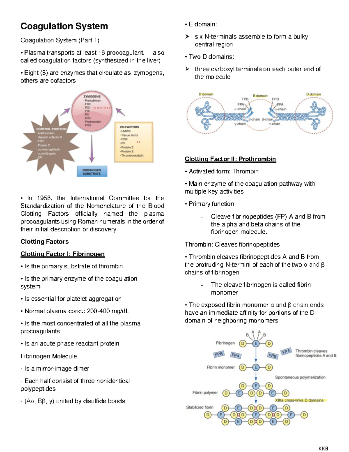 Coagulation System - Coagul…