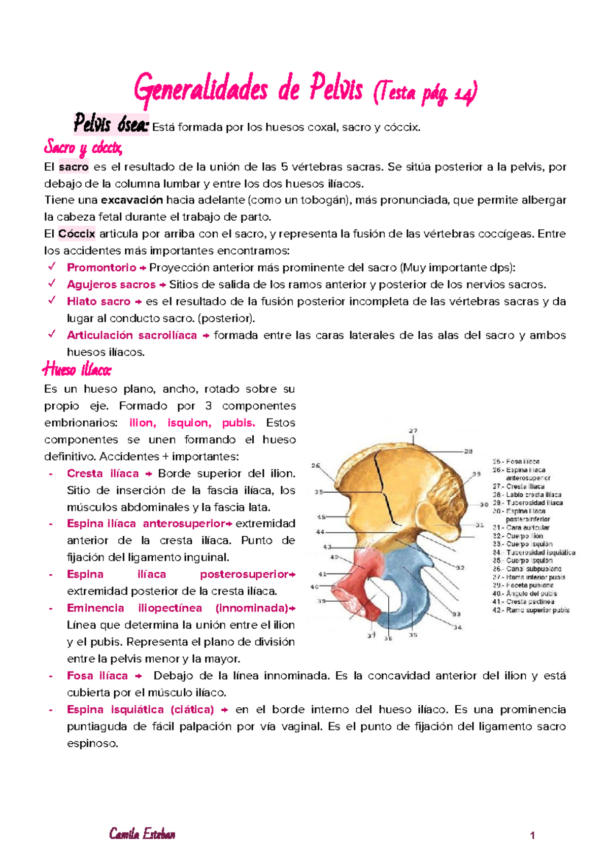Pelvimetría: Anatomía y Medición en OBSTETRICIA - Document Preview