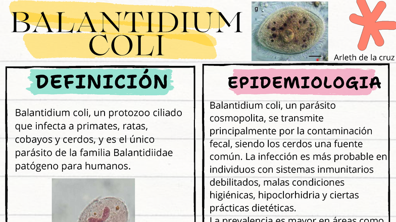 Balantidium Coli: Definición, Epidemiología y Manifestaciones Clínicas ...