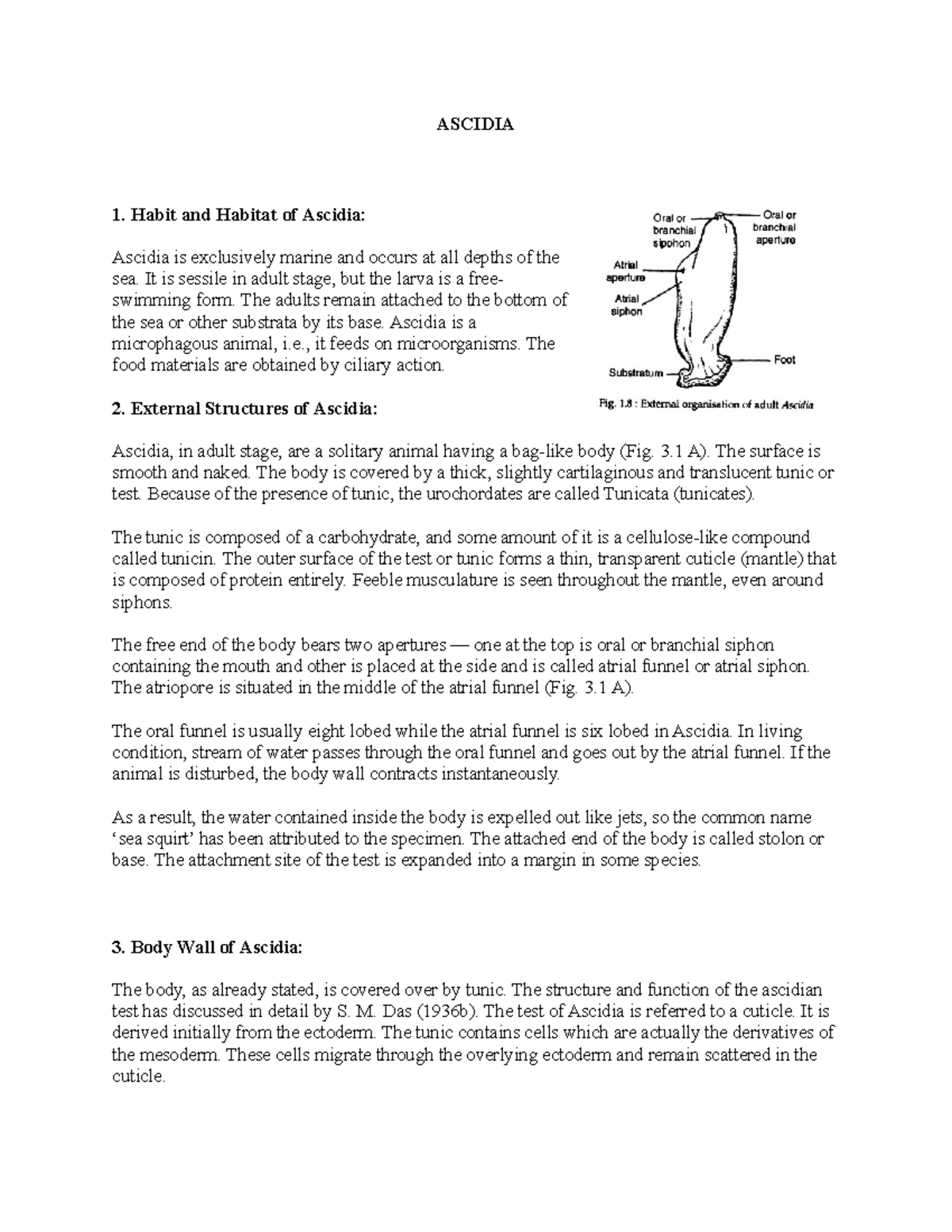 Ascidia Lecture Notes (1-3): Structure, Function, and Life Cycle - Studocu