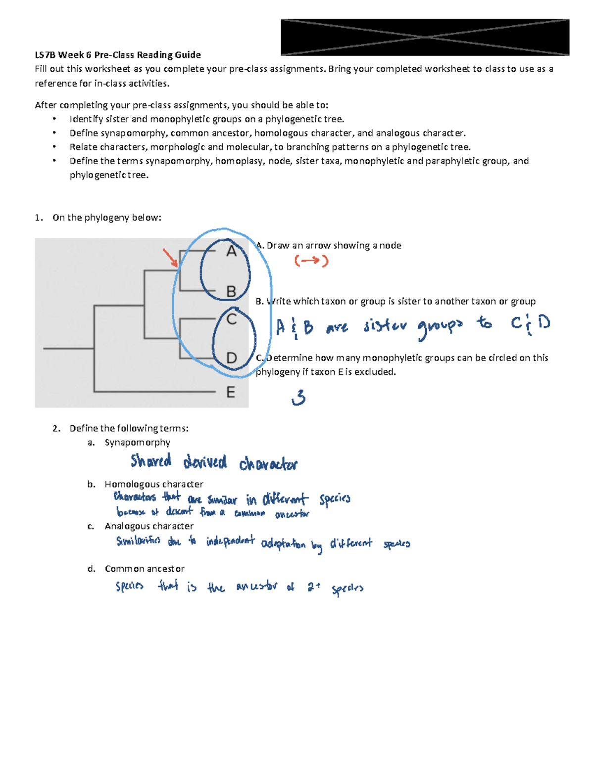 LS7B Week 6 Pre-Class Reading Guide on Phylogenetic Concepts - Studocu