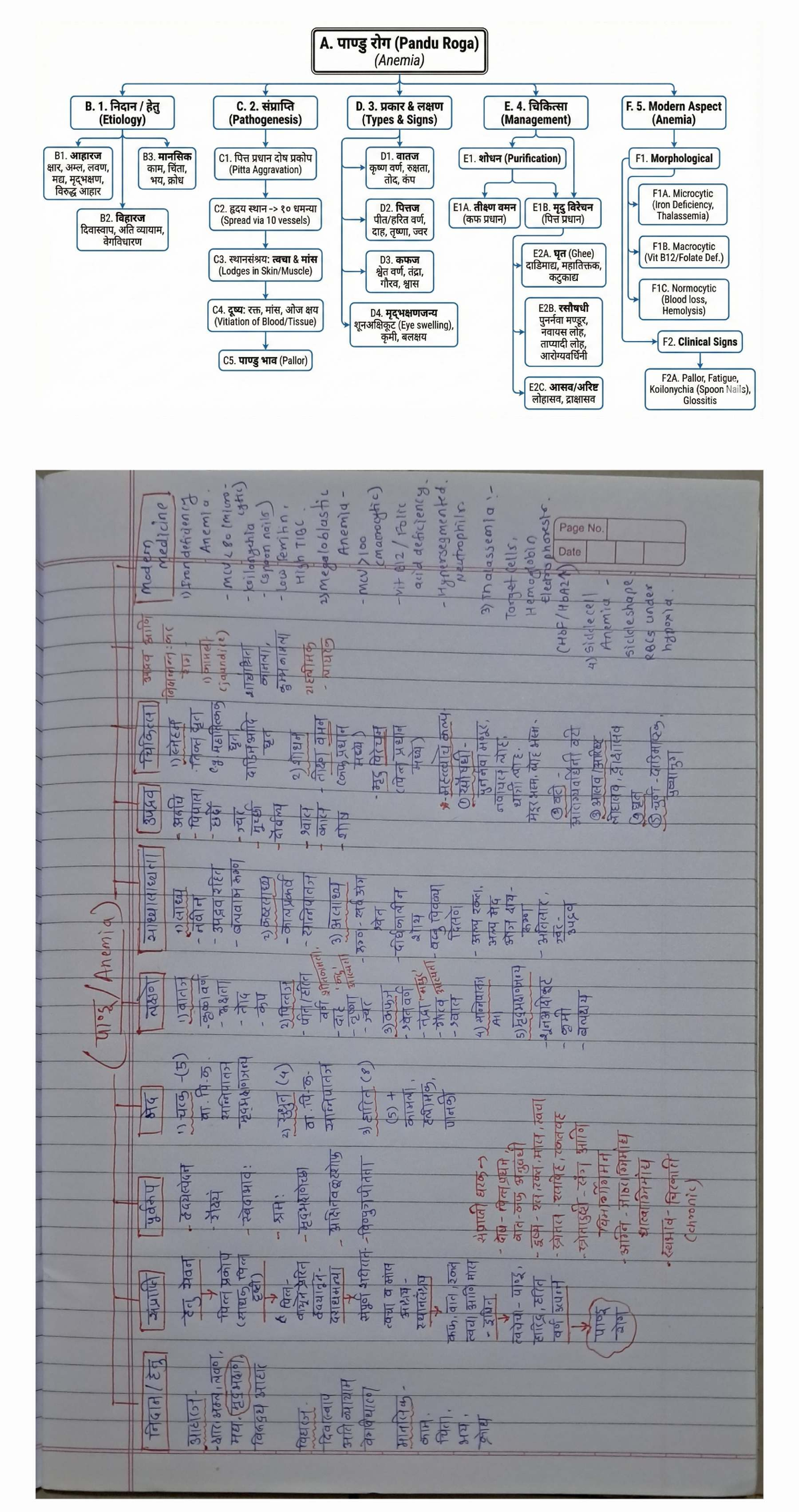 Pandu Roga (Anemia) - Modern Aspects & Management Notes - Studocu