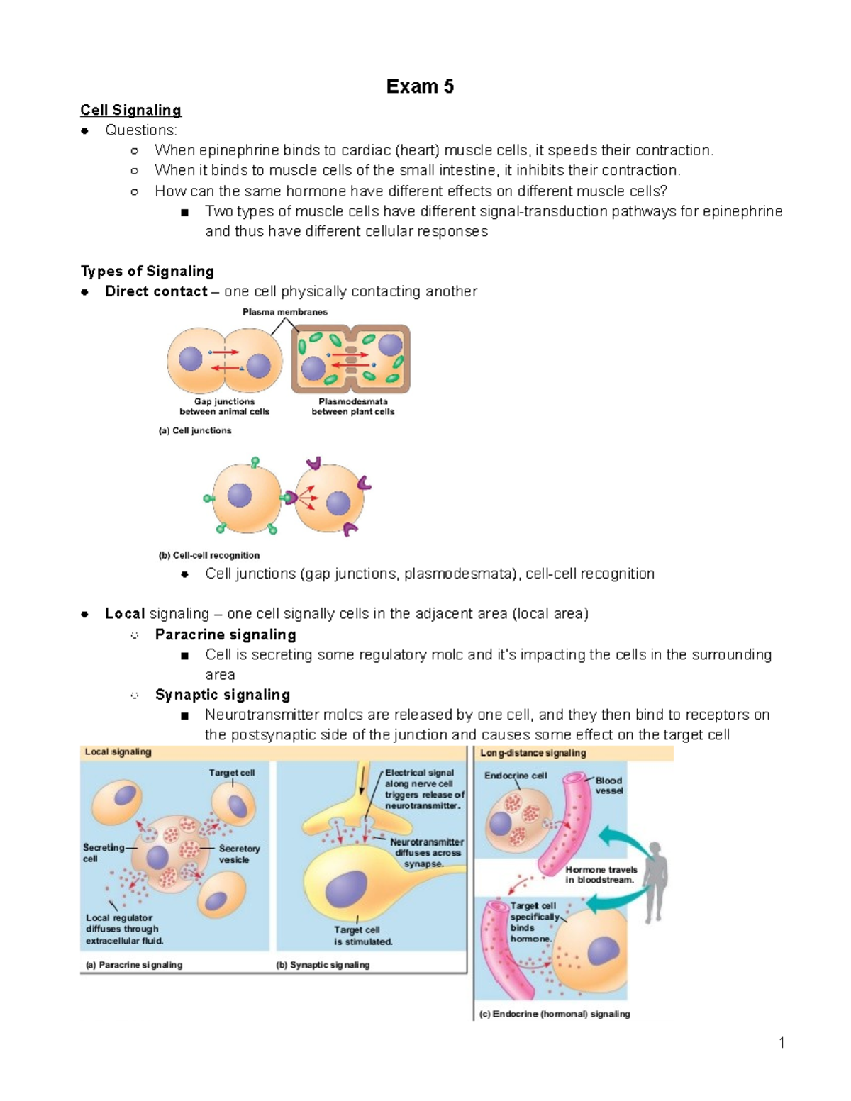 BIO 1201 Final Exam 5 Study Guide: Key Concepts of Cell Signaling - Studocu