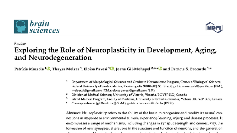 Brain Sci. 2023: Neuroplasticity in Development, Aging, and ...