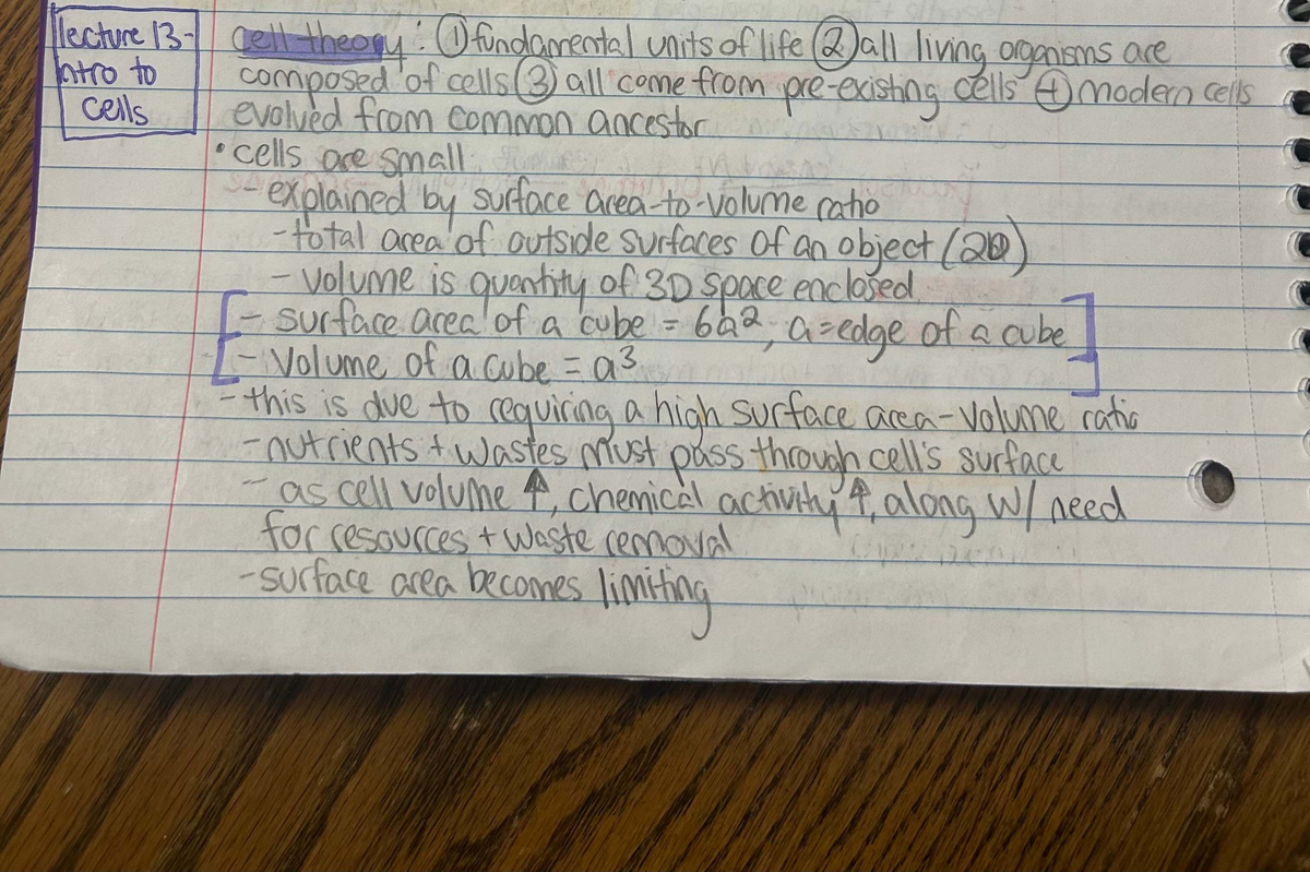 Final Exam Study Guide for ABC123: Cell Theory & Life Fundamentals ...