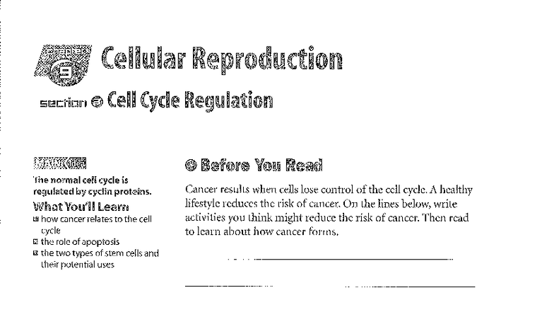 Cell Cycle Regulation and Cancer - BIO 101 Lecture Notes - Studocu