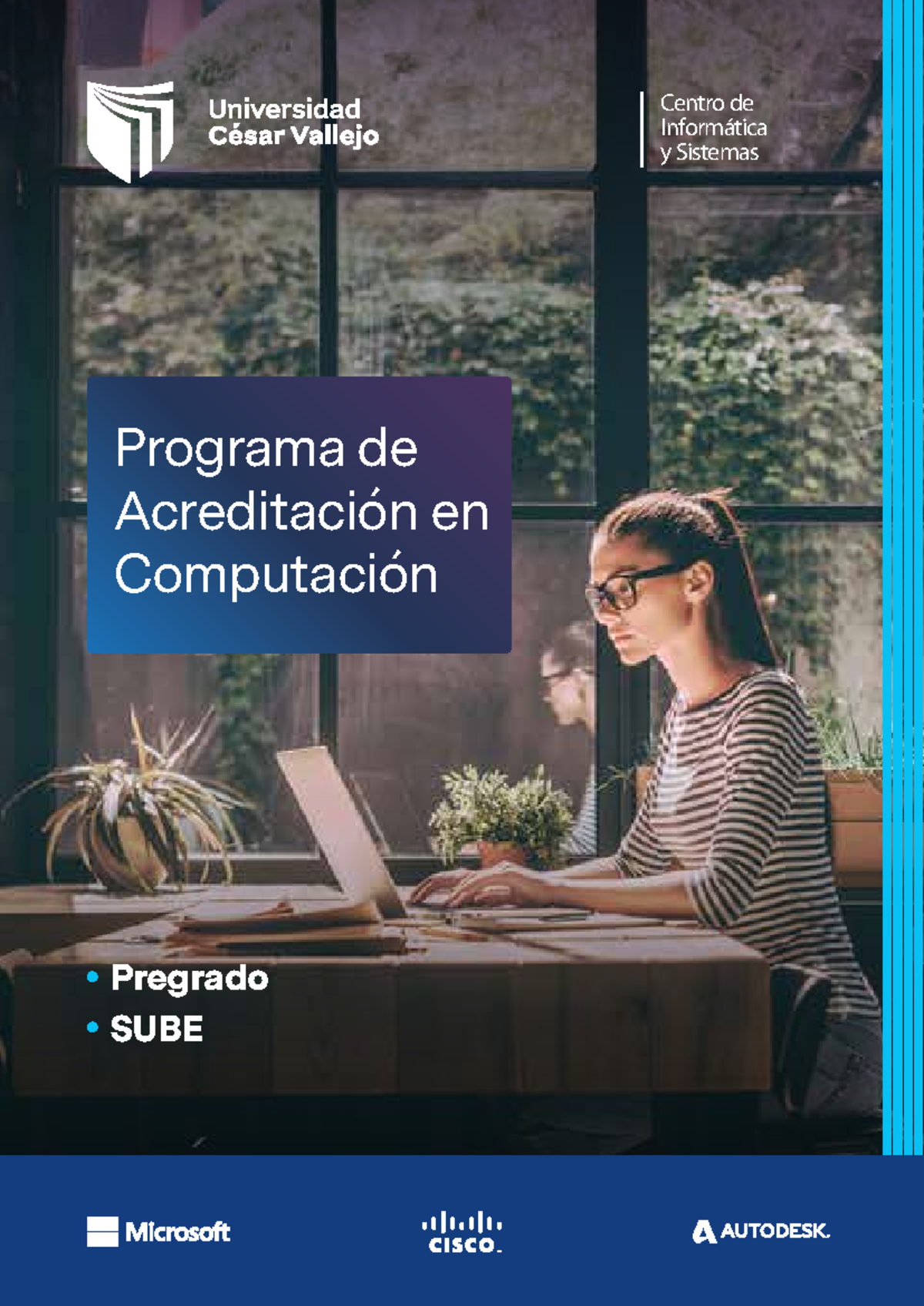 BROCHURE PLAN DE ESTUDIOS E - Informática y Sistemas Programa de ...