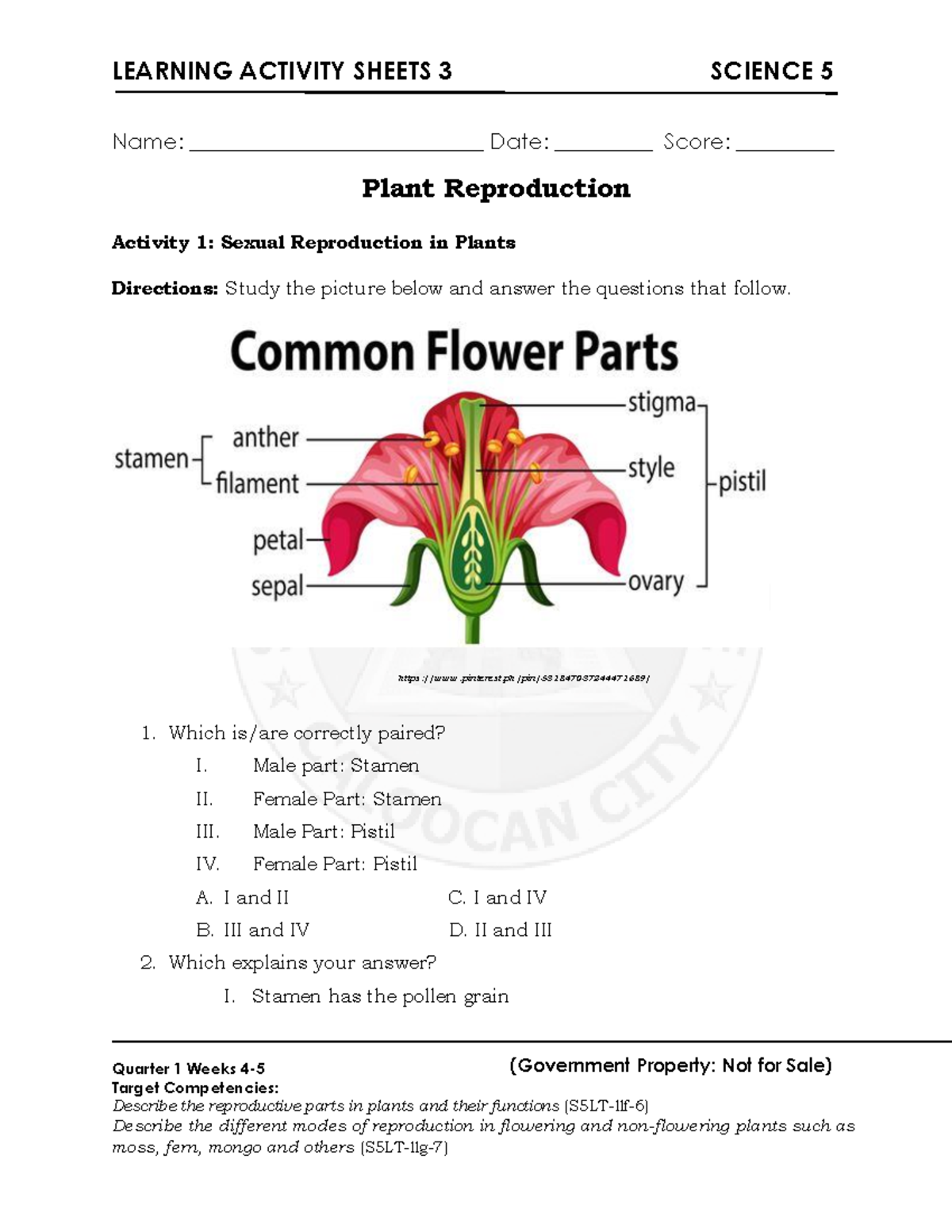Science 5 Q2 LAS 3 - Plant Reproduction Activities and Competencies ...