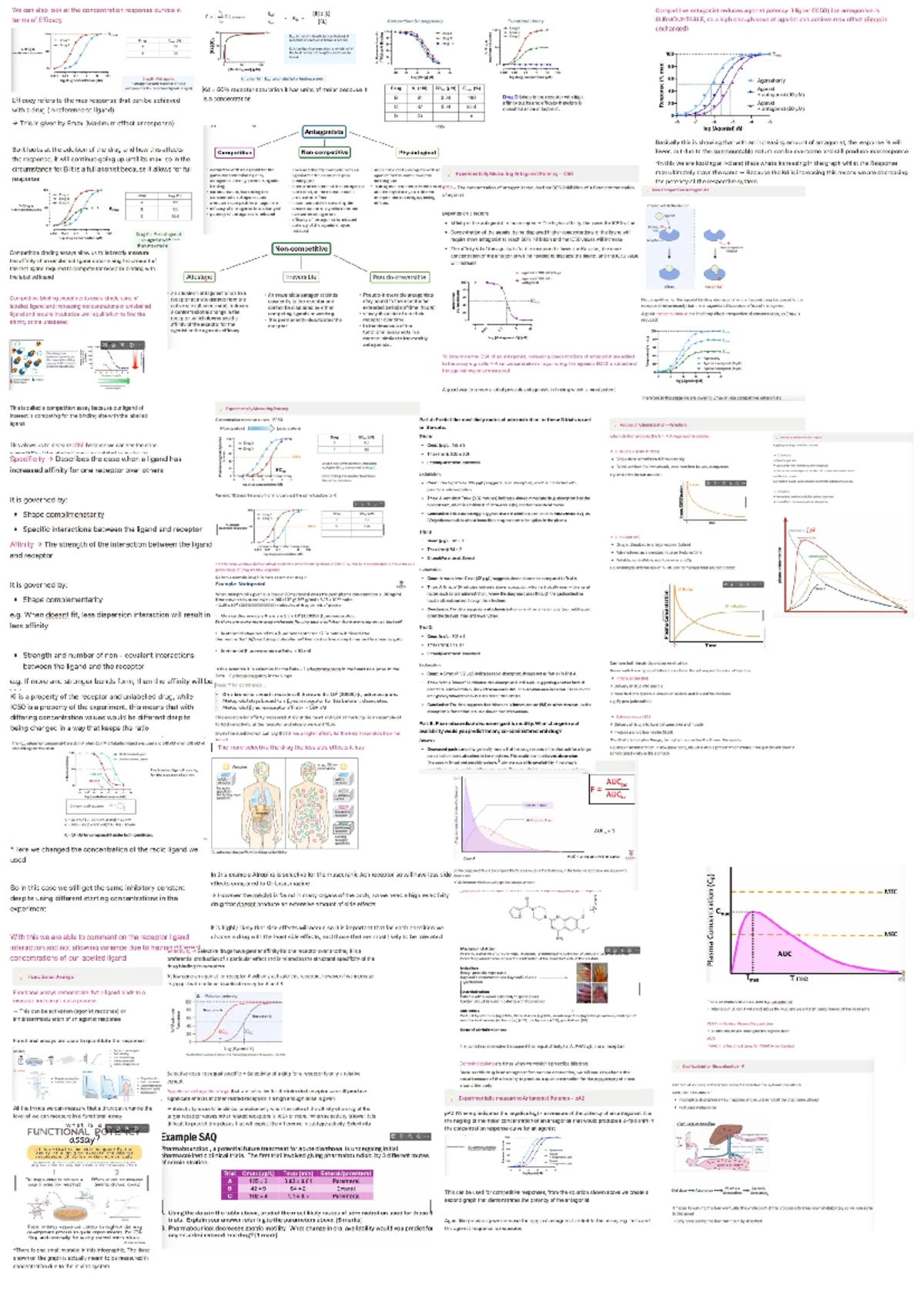 Mushuk ichidagi jinsiy aloqa kamerasi