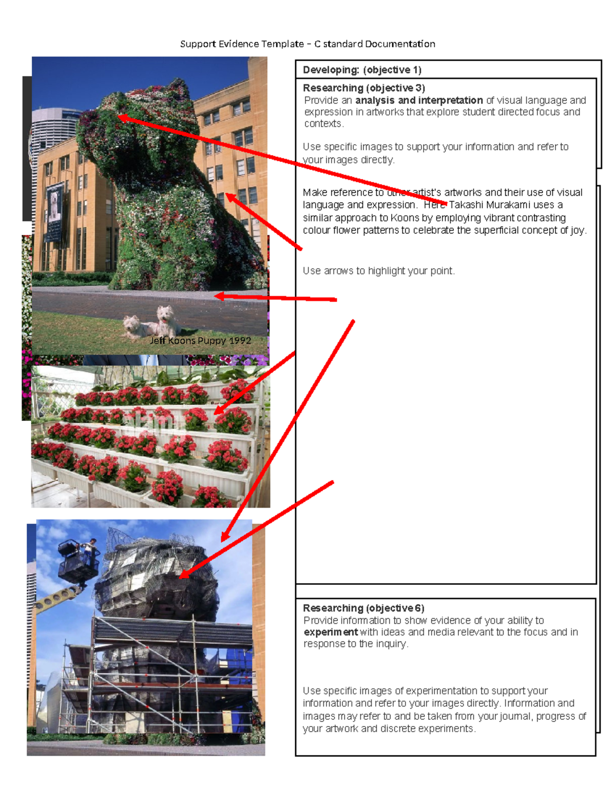 C Standard Documentation Support Evidence Template for Artwork