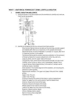 Anatomy Week 2 - Muscle types and Pectoral Girdle - HUBS 1105 WEEK 2 ...