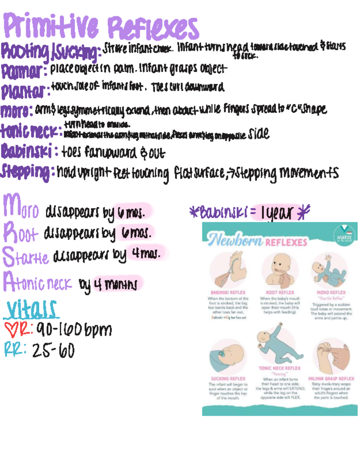 PEDS 101: Infant Development Milestones and Reflexes Guide - Studocu