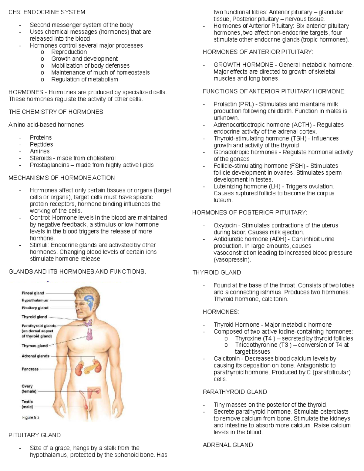 Anaphy LEC Reviewer: Endocrine System Overview and Hormone Functions ...