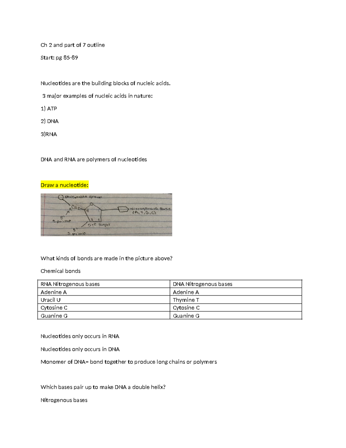 Ch 2 & 7 Outline: Nucleotides, DNA Replication, & Transcription Notes ...