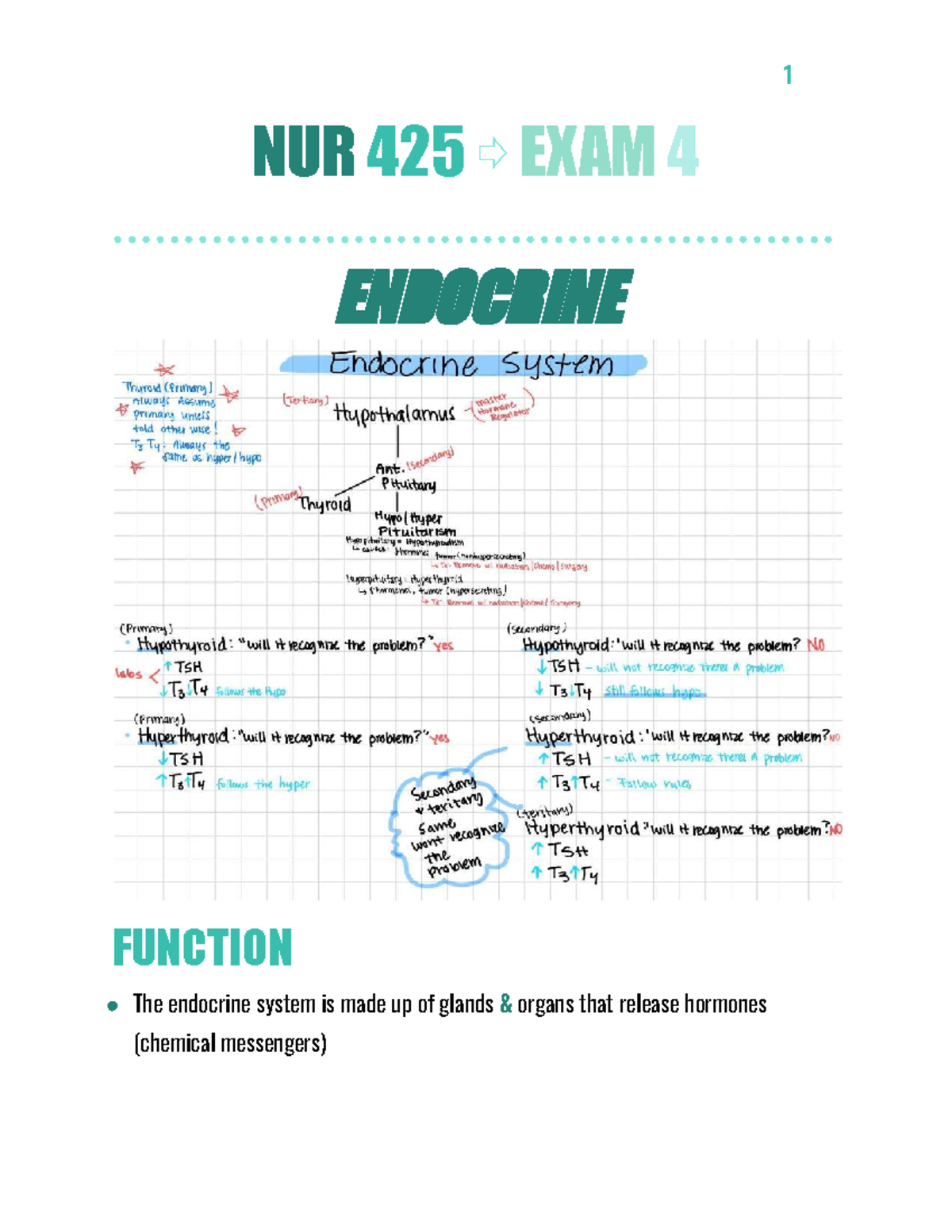 NUR 425 Exam 4 Study Notes on Endocrine Function - Studocu