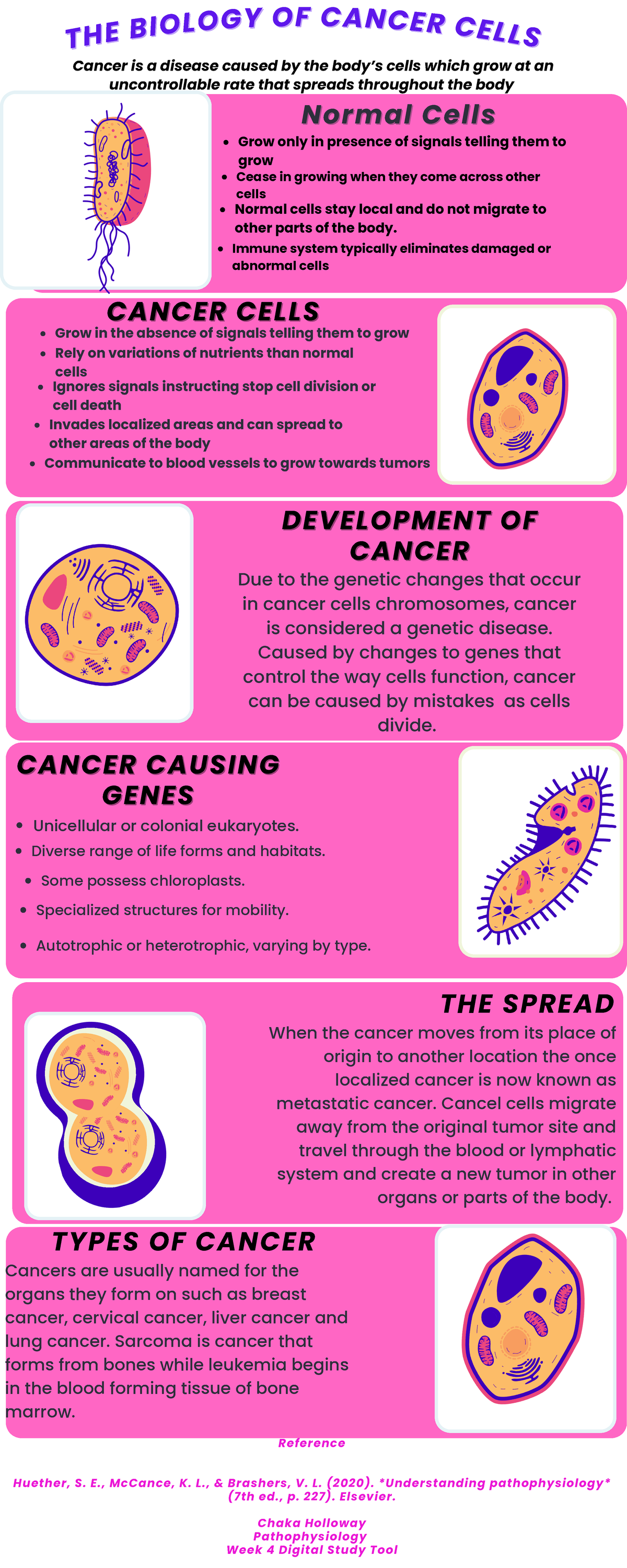 Week4Digital Study Tool - TH E B IOLO GY OF CANCER C ELL THE S BIO LOGY ...
