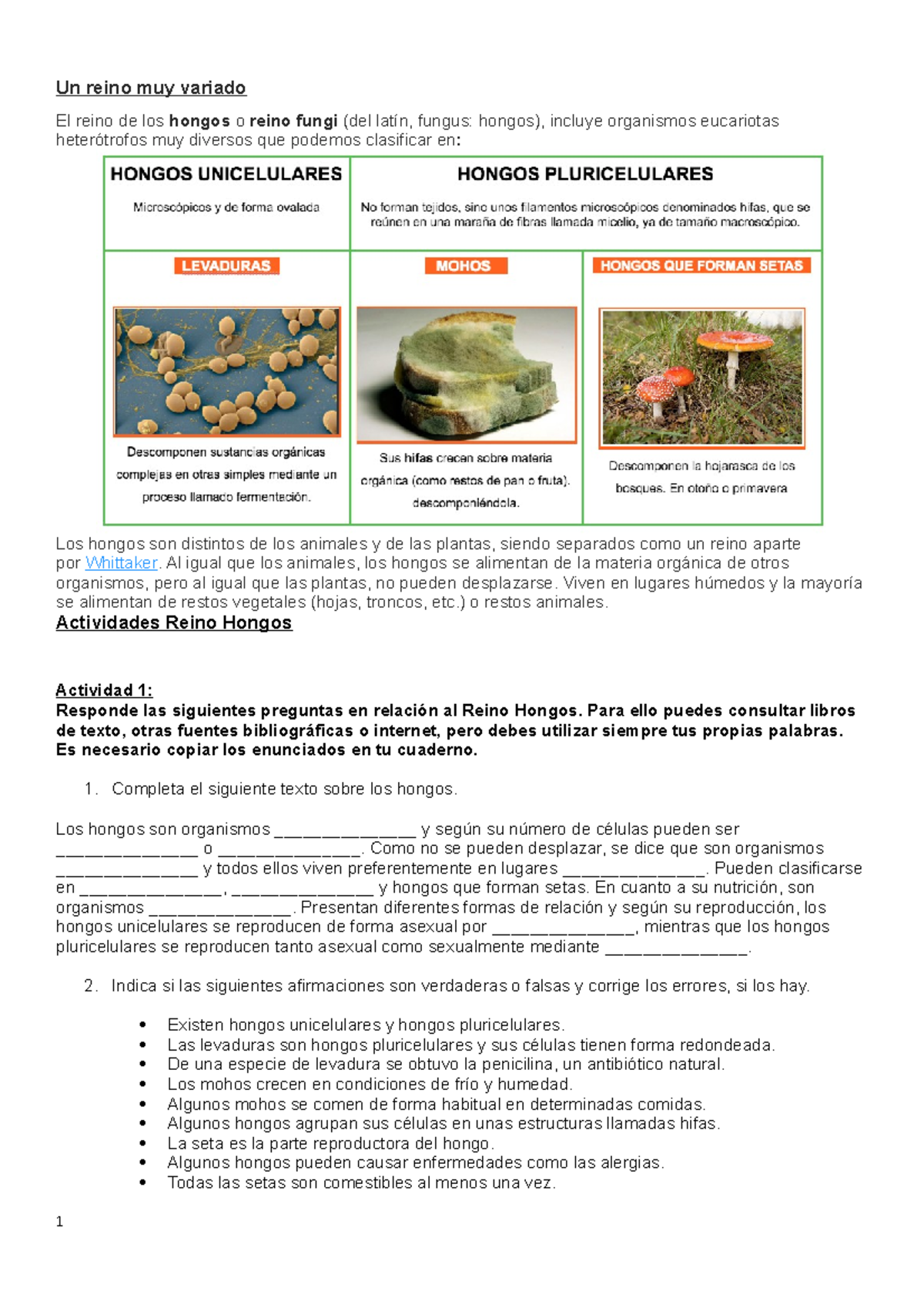 Actividades sobre el Reino Fungi: Preguntas y Experimentación - Studocu
