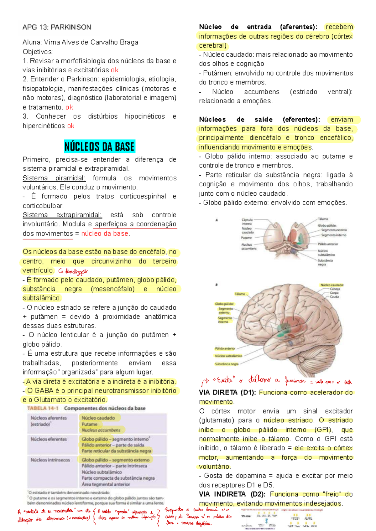 APG 13: Resumo sobre os Núcleos da Base e Doença de Parkinson - Studocu