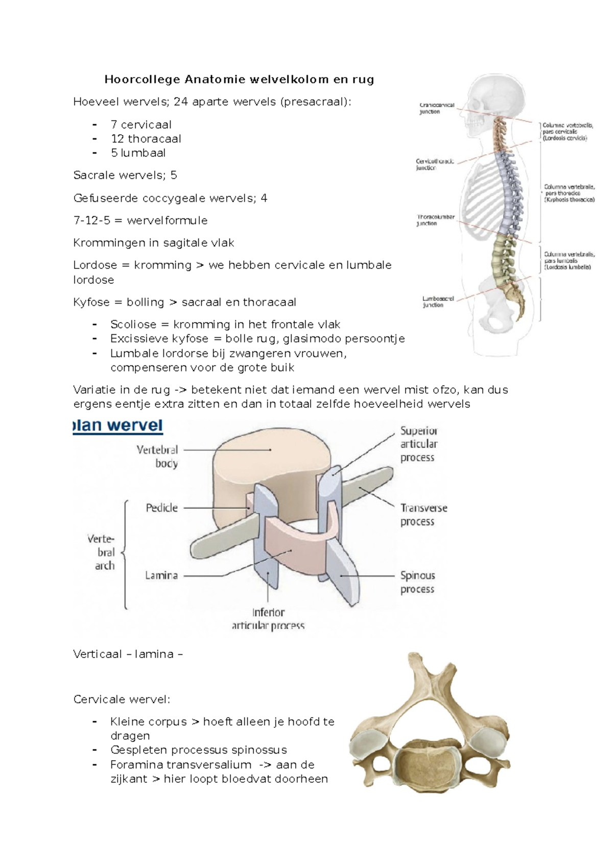 Hoorcolleges Week 3: Anatomie en Pathologie van de Rug - Studeersnel