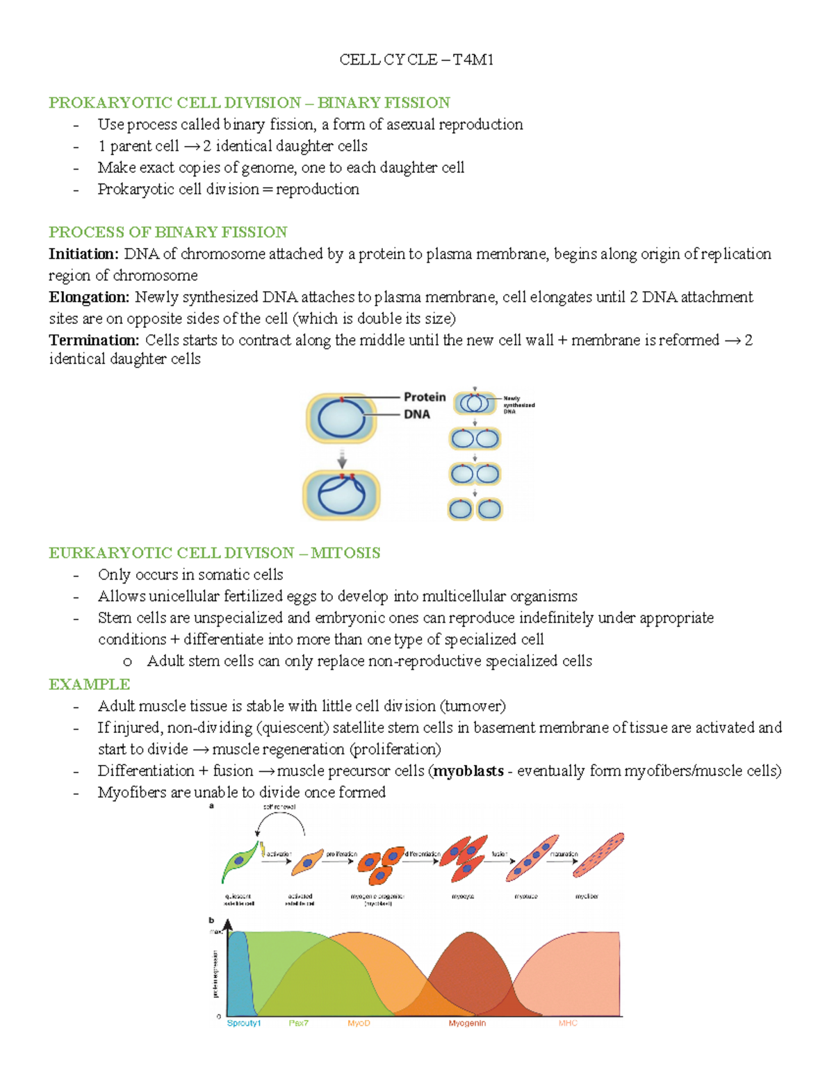 BIO 1A03 TEST 3 Notes - Summary of information regarding test 3 - CELL ...