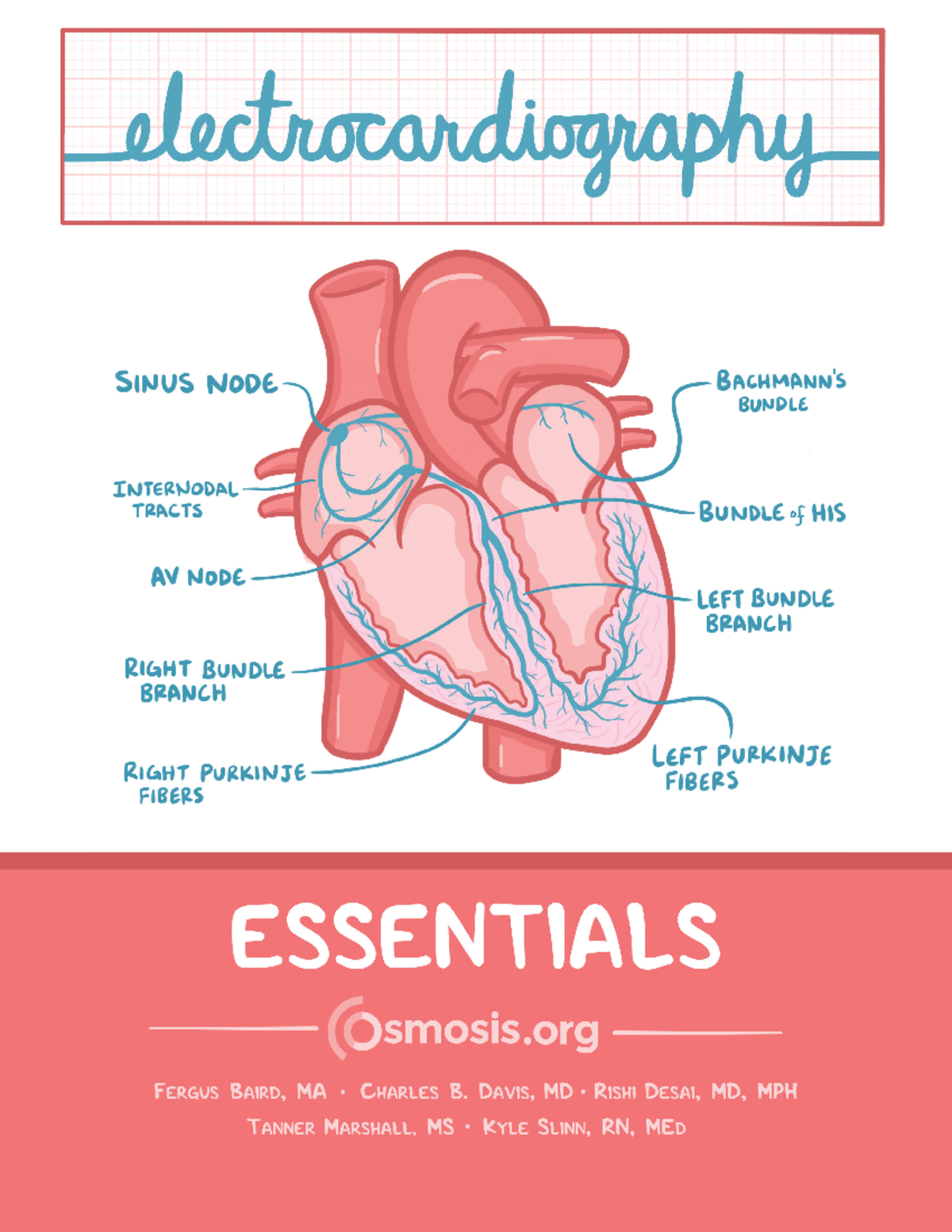 ECG Basics - EKG/ECG Basic concepts - ELECTROCARDIOGRAPHY ESSENTIALS ...