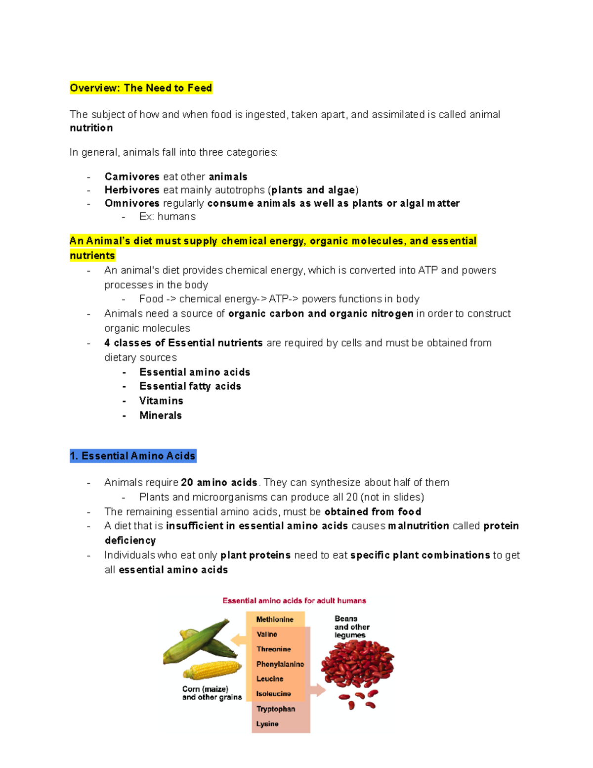 M2 Lec 11 (Nutrition and Digestion) - Overview: The Need to Feed The ...