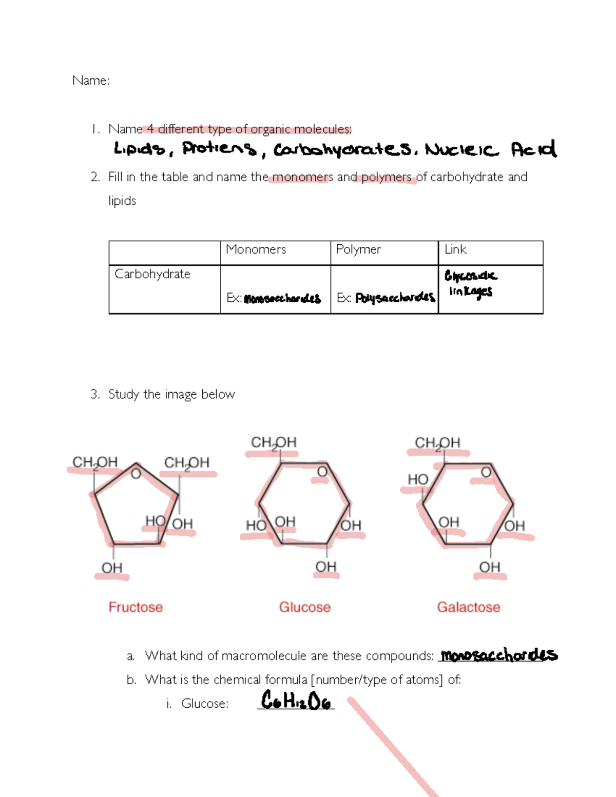 Polysaccharide Definition and Examples - Biology Online Dictionary, image size:1200x1553