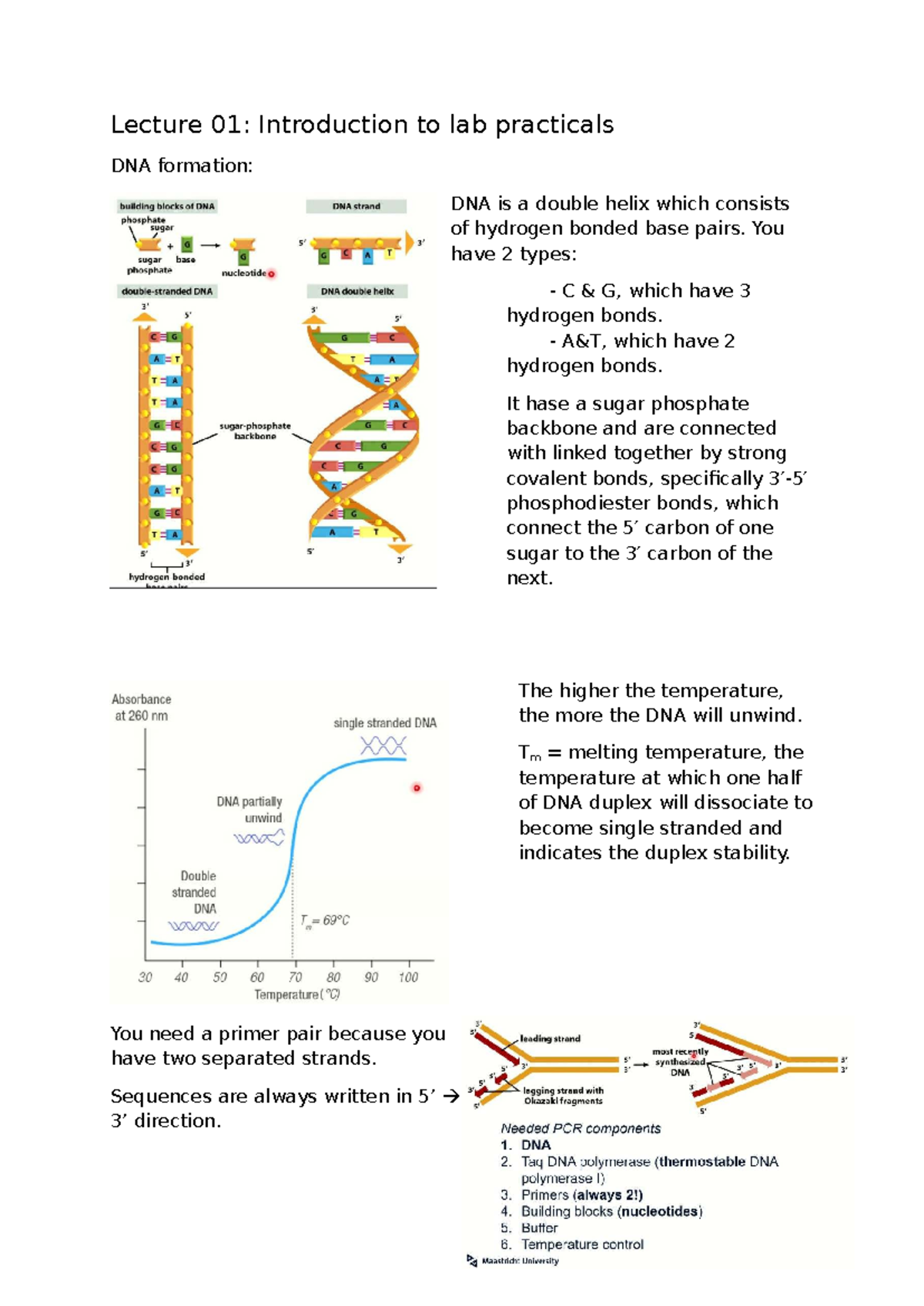 Lecture 01: DNA Formation and Lab Practical Techniques - Studeersnel