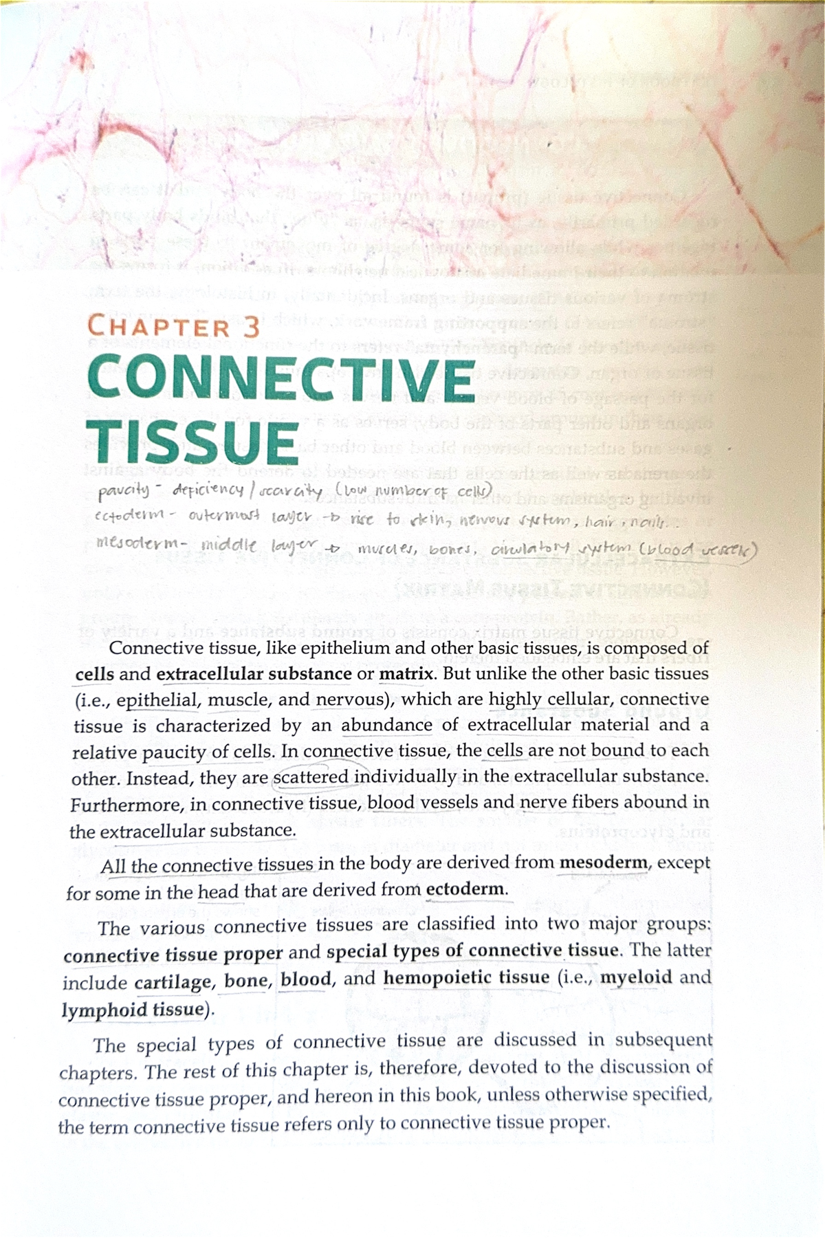Chapter 3: Connective Tissue - Structure, Types, and Functions - Studocu