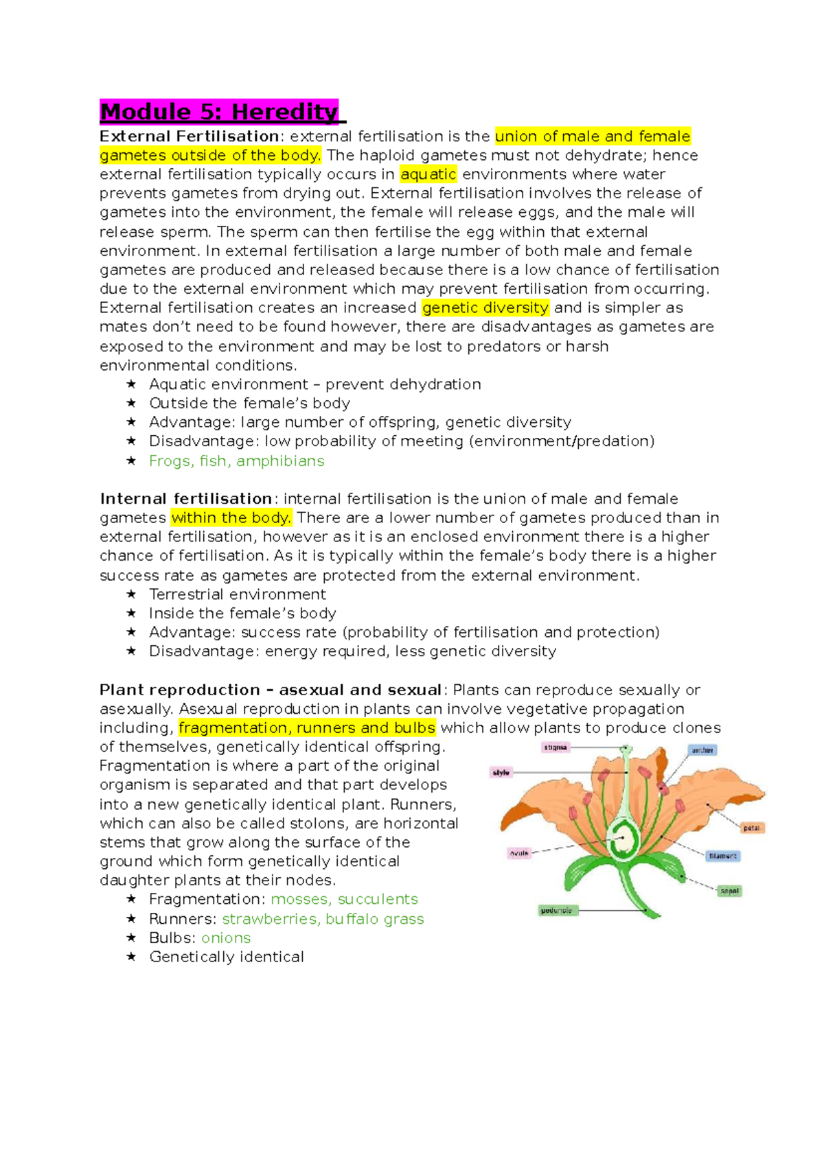 Bio Mod 5: Heredity and Fertilisation Study Notes - Studocu