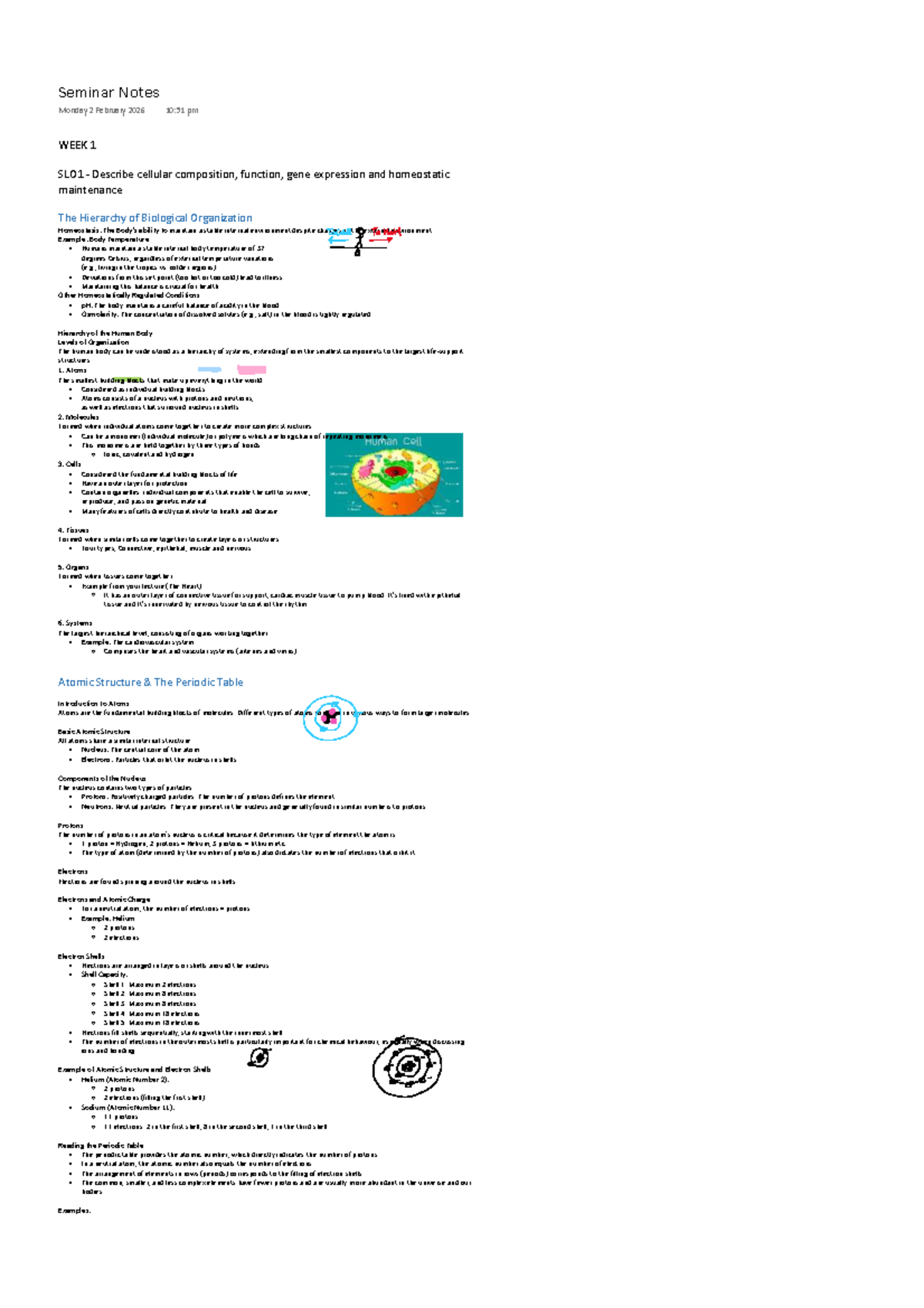 BM Introduction to Human Body Seminar Notes - Week 1 Overview - Studocu