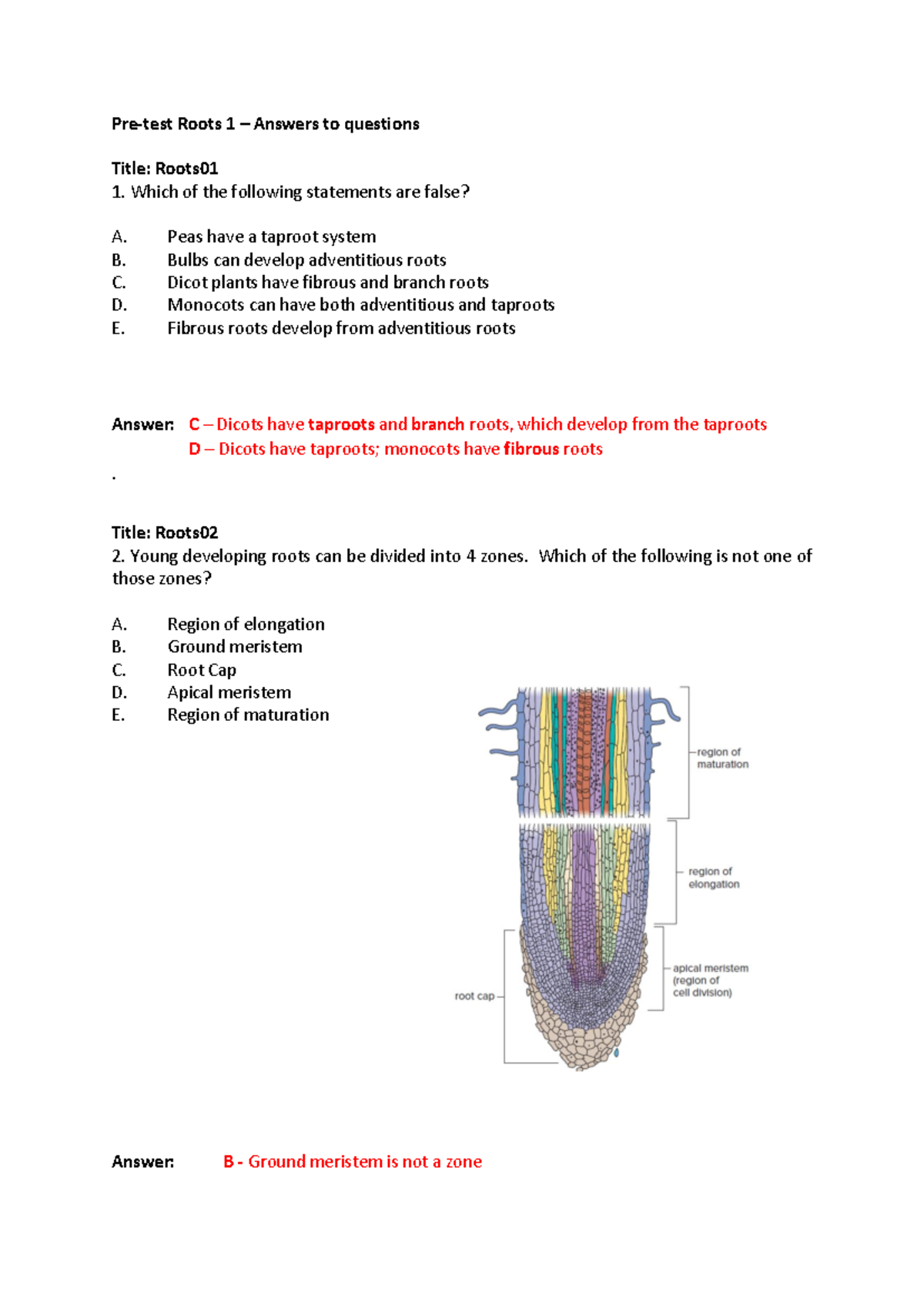 Pre-Test 2 Roots - Answers - Pre-test Roots 1 – Answers to questions ...