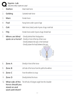 Comprehensive Equine Management Guide: Handling, Terminology & Breeds ...