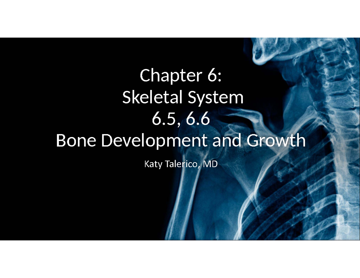 Chapter 6: Bone Development and Growth - Intramembranous vs ...