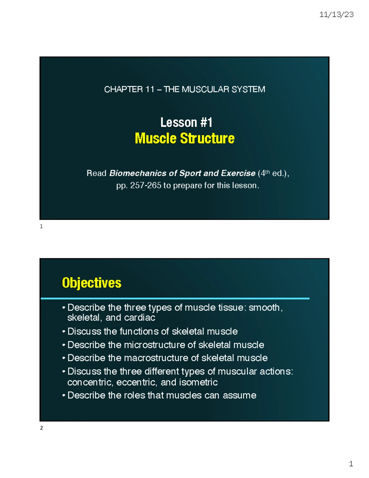 Comprehensive Guide to Muscle Structure & Function - BIOME 101 - Studocu