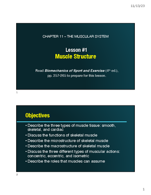 Comprehensive Guide on the Classification and Anatomy of Joints (BIO101 ...