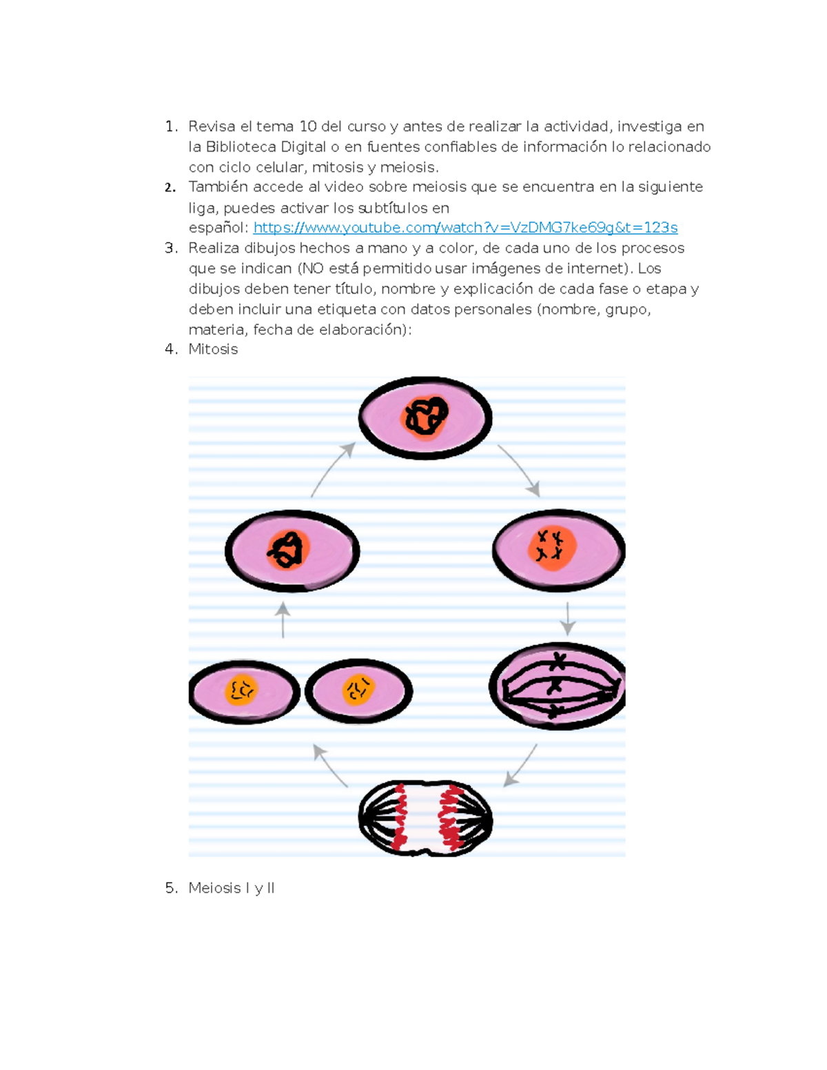 Ejercicio 14: Clasificación de Organismos por Reinos Biológicos - Studocu