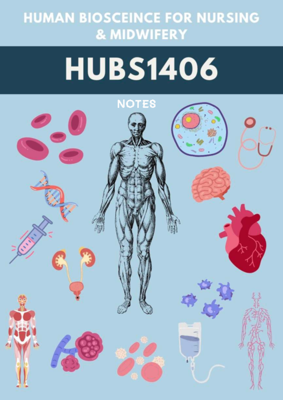 HUBS1406 Week 1-2 Comprehensive Body Systems and Cellular Functions ...