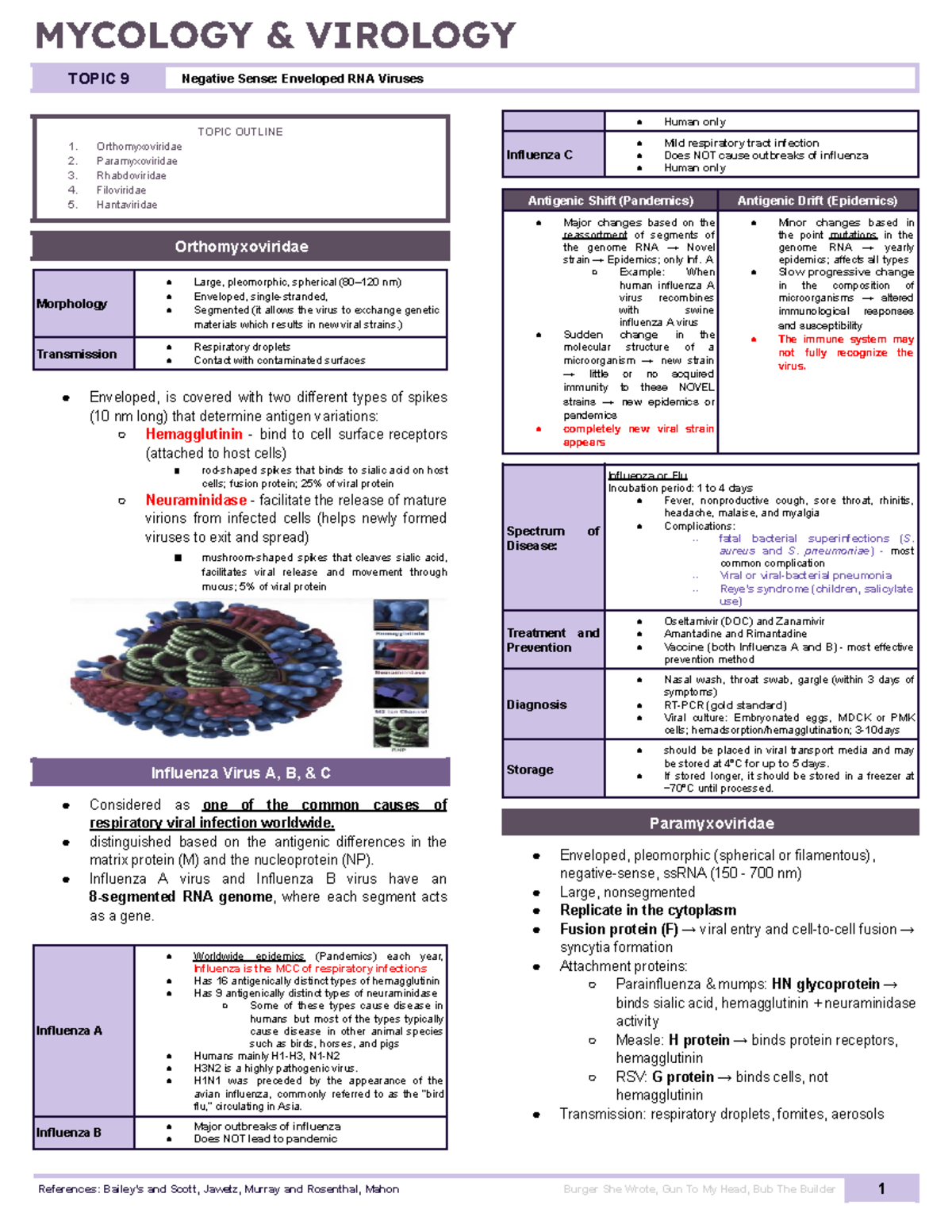 MV Topic 9: Enveloped RNA Viruses Overview and Key Characteristics ...
