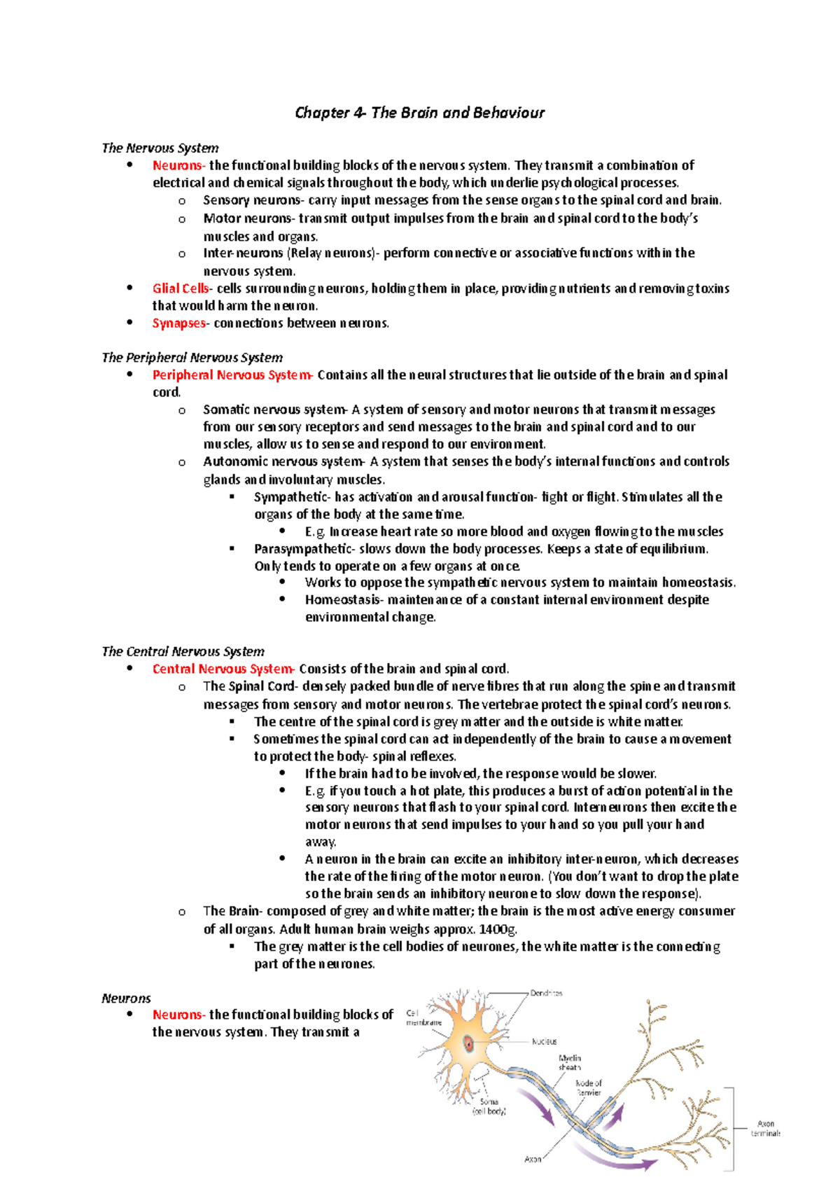 Mind and Behaviour- Brain and Behaviour Revision Notes - Chapter The ...