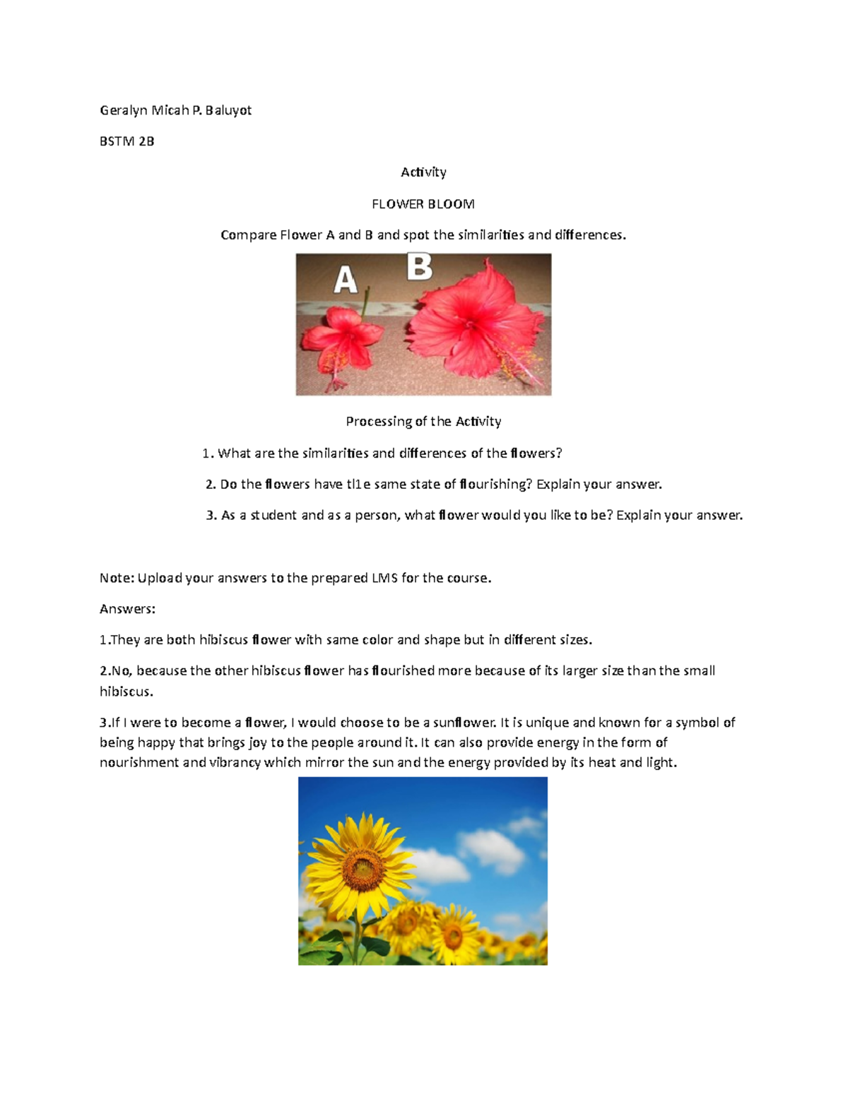 Flower Bloom - yeah - Geralyn Micah P. Baluyot BSTM 2B Activity FLOWER ...