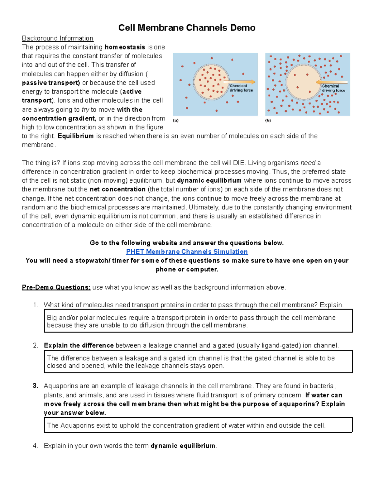 AP Bio Cell Membrane Channels Activity Cell Membrane Channels Demo