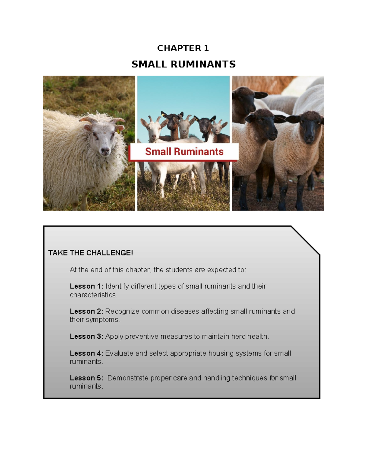 CHAPTER 1: SMALL RUMINANTS - IDENTIFICATION & CARE (AFA Module) - Studocu