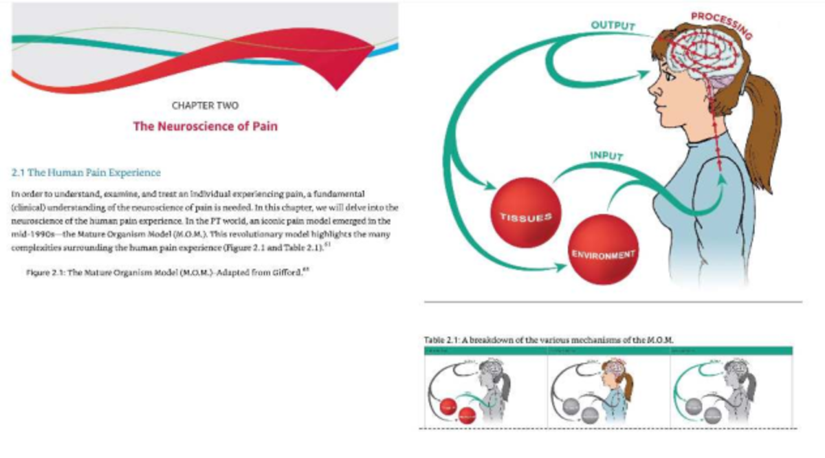 **Title: CR101 Document Review: Understanding the Neuroscience of Pain ...