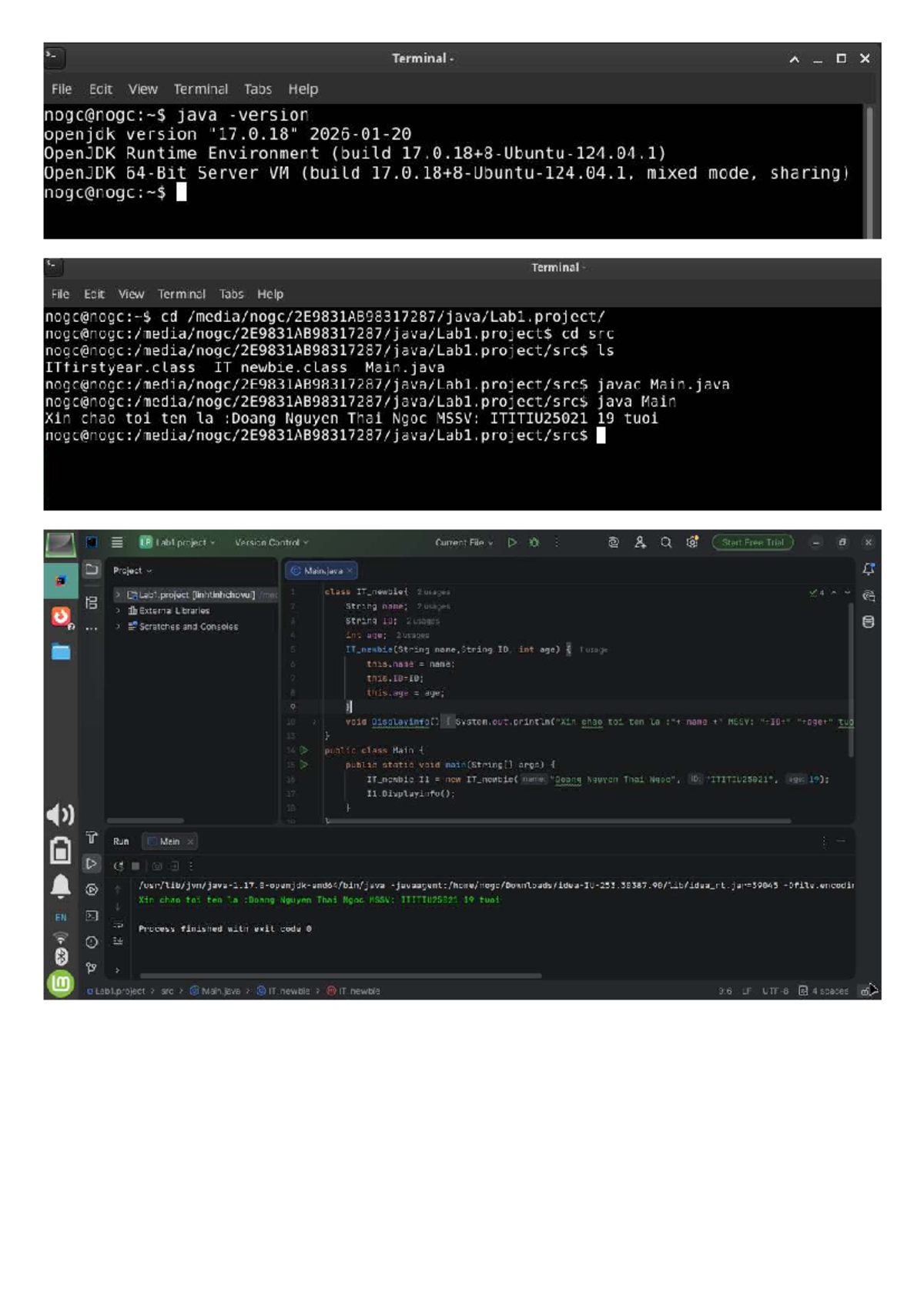 ITITIU25021 Lab 1 Project: Java Class Implementation and Info Display ...