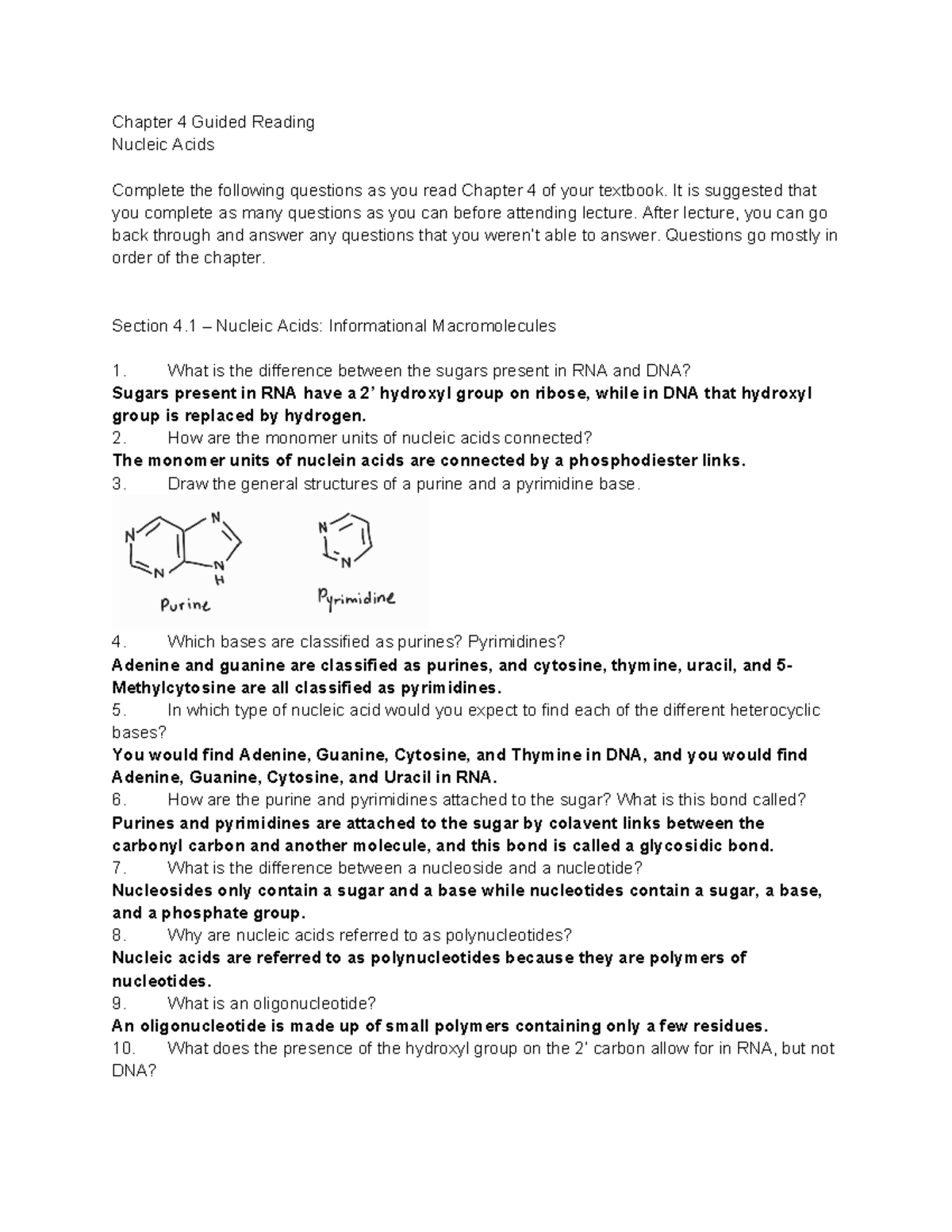 Biochem Chapter 4 EC - Chapter 4 Guided Reading Nucleic Acids Complete ...