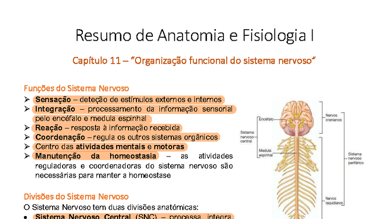 Capítulo 11 – Funcionalidade do Sistema Nervoso e suas Divisões - Studocu