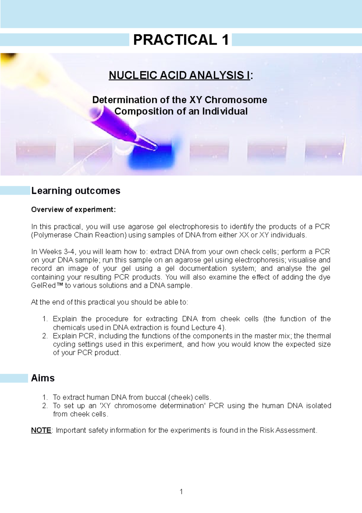 BIOC2201 Practical 1 Week 3 Student Notes Updated - PRACTICAL 1 NUCLEIC ...