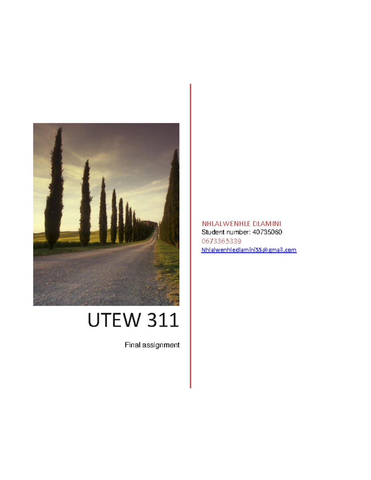 UTEW 311 Assignment 1 - 4 Option 3 As ateam of three senior educators ...