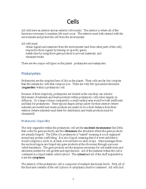 Biology CH11 - BIO Spring SEM TER 2023 CHAPTER 11 EVOLUTION AND ITS ...